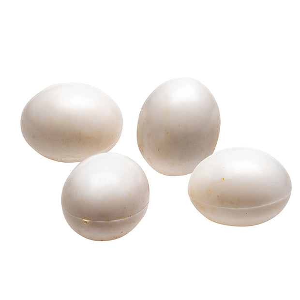 FPI 4309 HUEVOS FALSOS PARA NINFAS