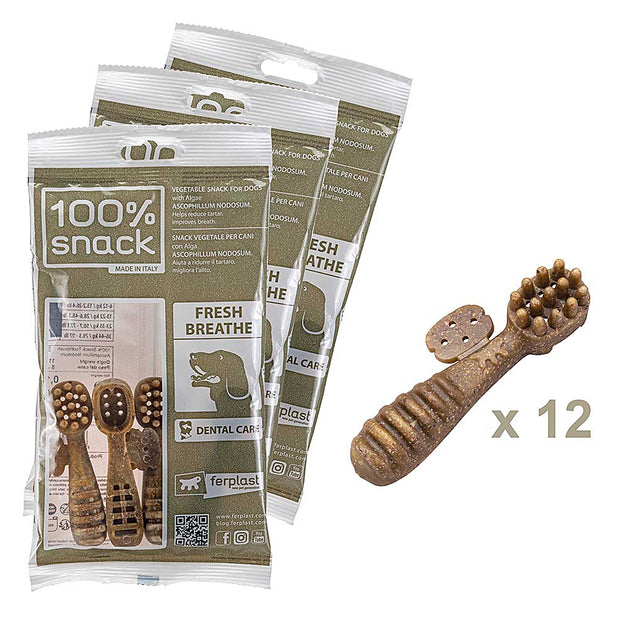 100% SNACK RELLENABLES - TOOTHBRUSH ASCOPHILLUM