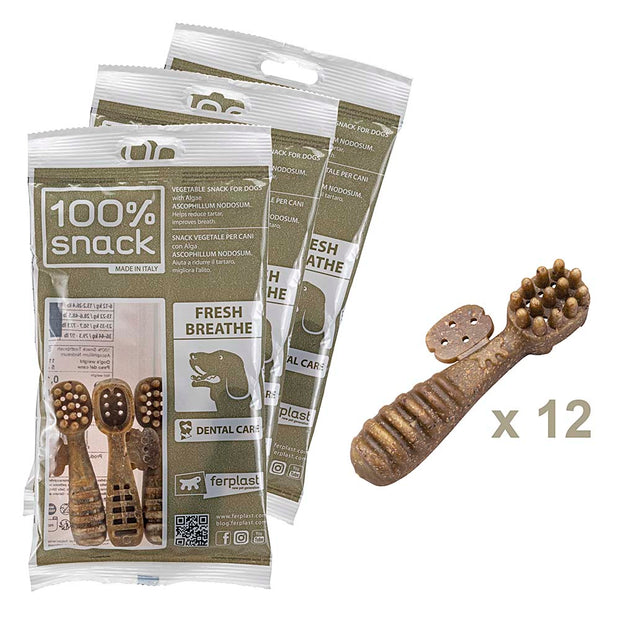 100% SNACK RELLENABLES -  TOOTHBRUSH ASCOPHILLUM