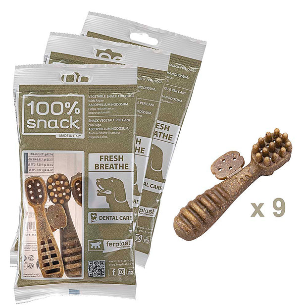 100% SNACK RELLENABLES -  TOOTHBRUSH ASCOPHILLUM