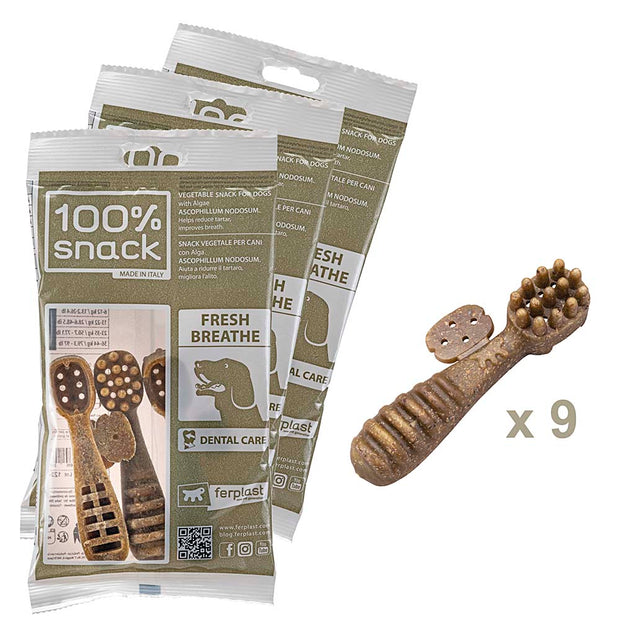 100% SNACK RELLENABLES -  TOOTHBRUSH ASCOPHILLUM