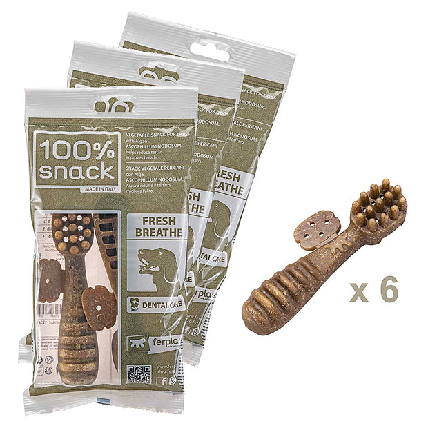 100% SNACK RELLENABLES - TOOTHBRUSH ASCOPHILLUM