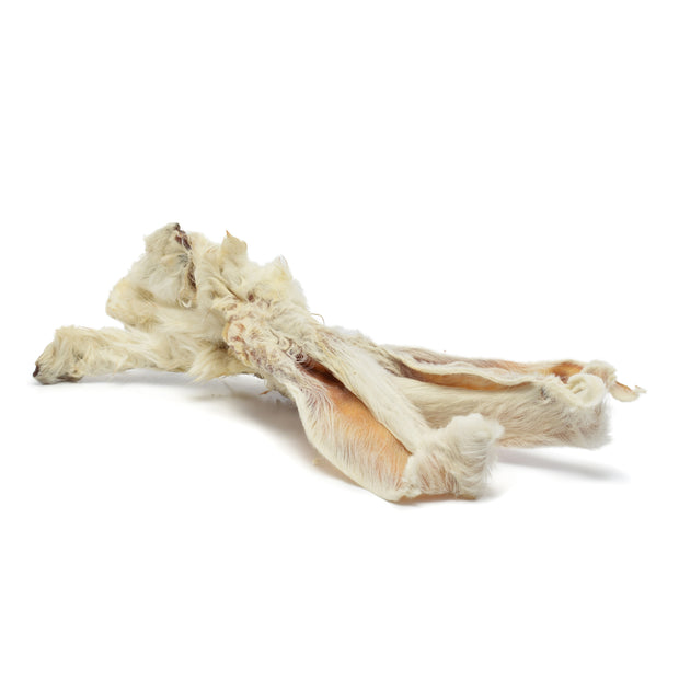 ORECAS DE CONEJO