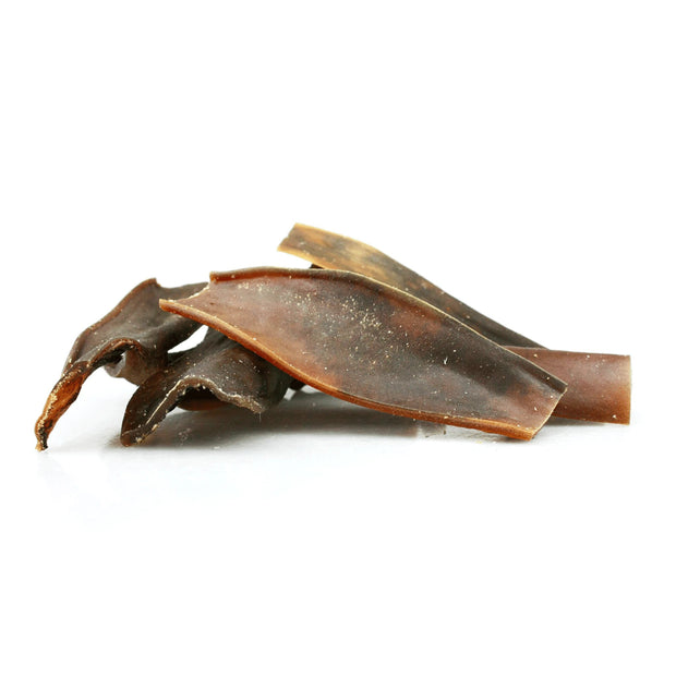 PIEL DE CAMELLO
