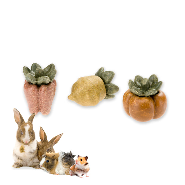 VEGGIE BITES VERDURAS