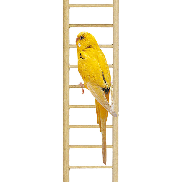 Escalera PA 4002