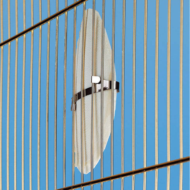 Hueso de sepia PA 4330