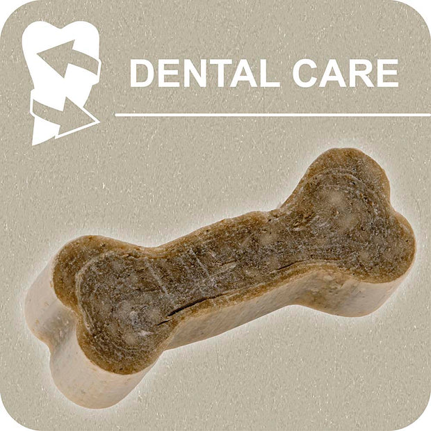 100% SNACK COOKIE - BONE ASCOPHILLUM