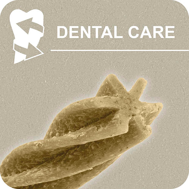 100% SNACK PALITOS - FUSILLI ASCOPHILLUM