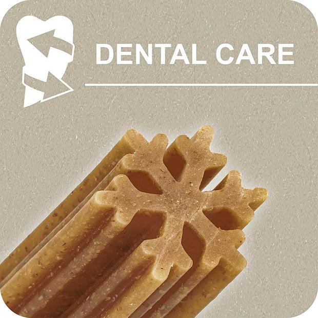 100% SNACK PALITOS - SNOWFLAKE EUGLENA