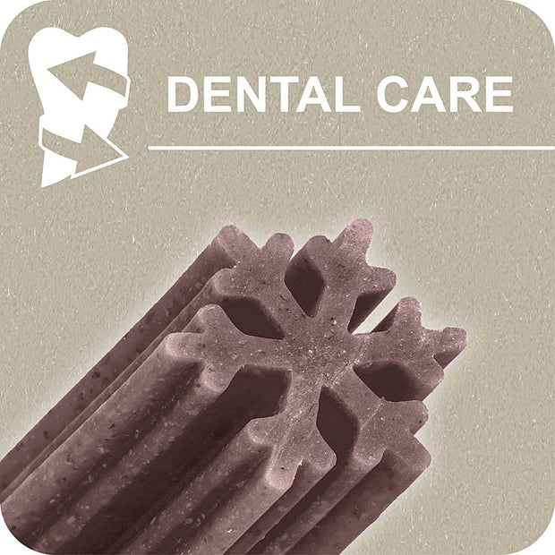 100% SNACK PALITOS - SNOWFLAKE MELISSA