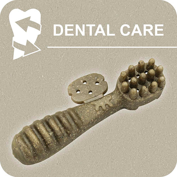 100% SNACK RELLENABLES - TOOTHBRUSH ASCOPHILLUM