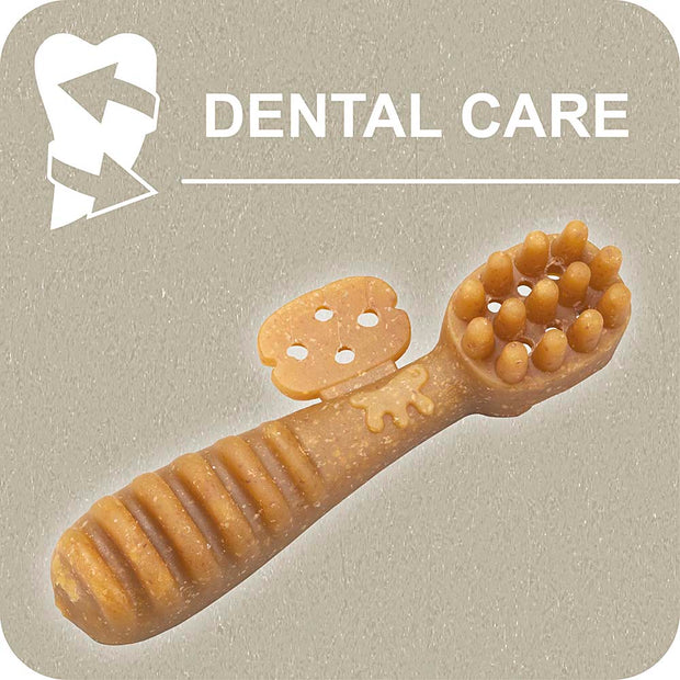 100% SNACK RELLENABLES -  TOOTHBRUSH EUGLENA