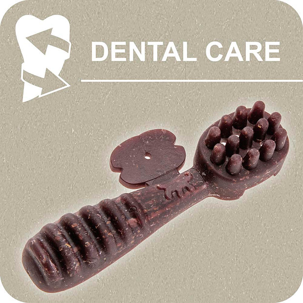 100% SNACK RELLENABLES -  TOOTHBRUSH MELISSA
