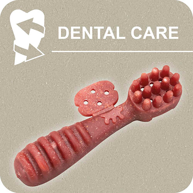100% SNACK RELLENABLES - TOOTHBRUSH YUCCA