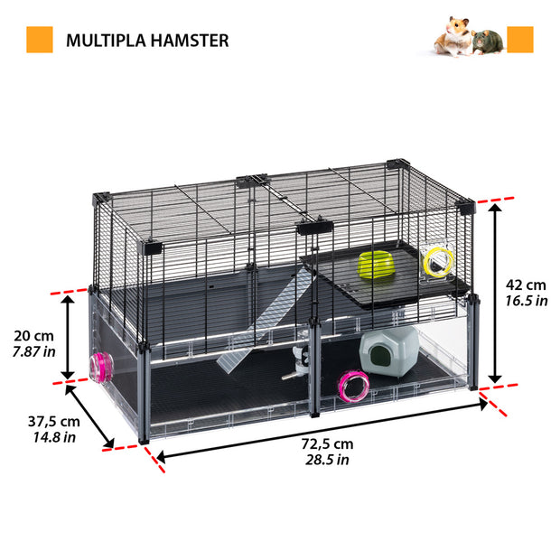 MULTIPLA HAMSTER