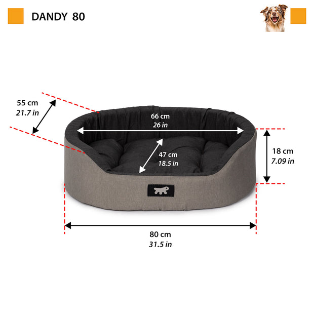 DANDY C