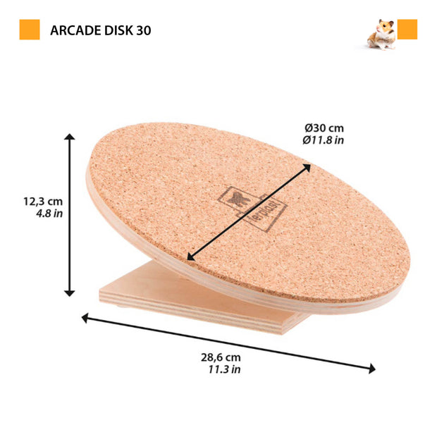 ARCADE DISK