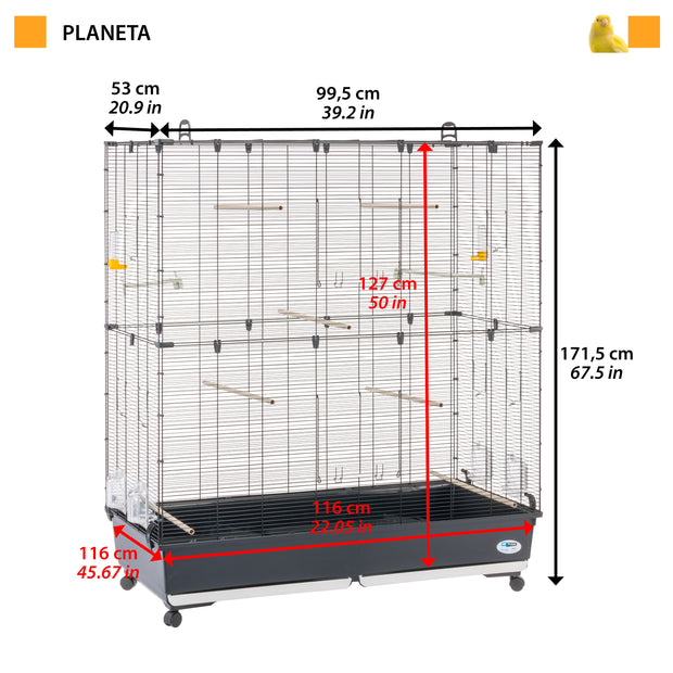 PLANETA LARGE