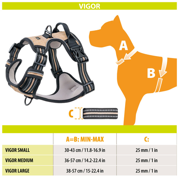 VIGOR
