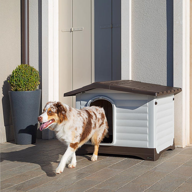 DOGVILLA