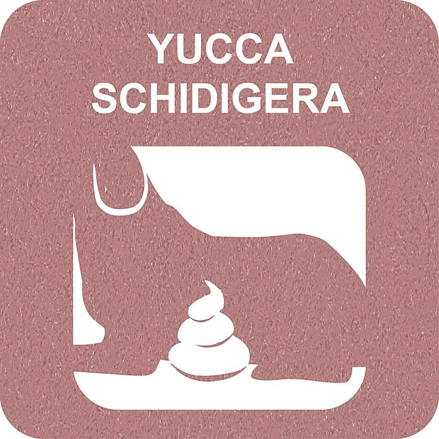 100% SNACK RELLENABLES - BONE YUCCA