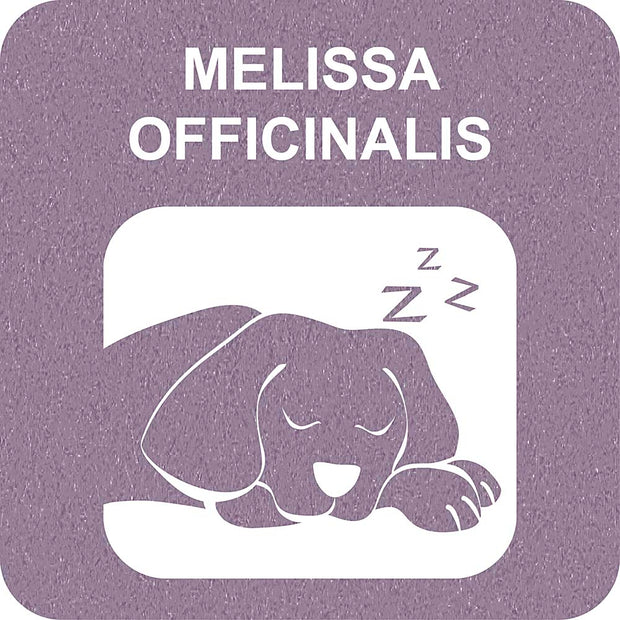 100% SNACK PALITOS - SNOWFLAKE MELISSA