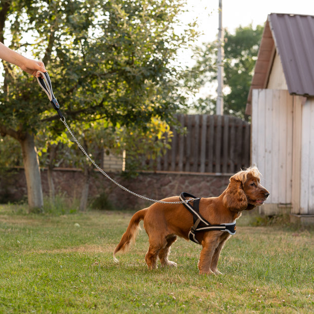 ERGOCOMFORT METAL GM