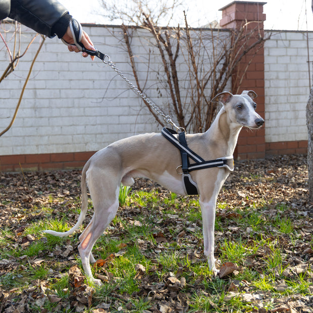 ERGOCOMFORT METAL GM