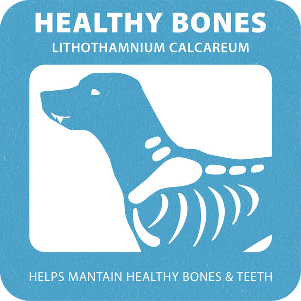 100% SNACK PALITOS - FUSILLI LITHOTHAMNIUM