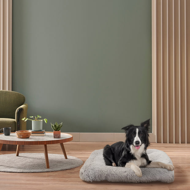 SHANTI Cojín perros y gatos