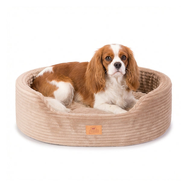 DANDY CORDUROY Cama tipo sofá con cojín extraíble para perros y gatos