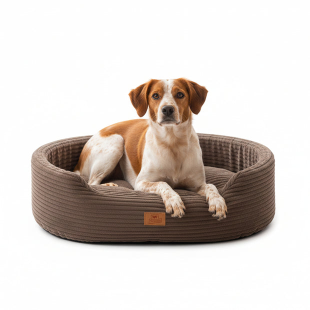 DANDY CORDUROY Cama tipo sofá con cojín extraíble para perros y gatos