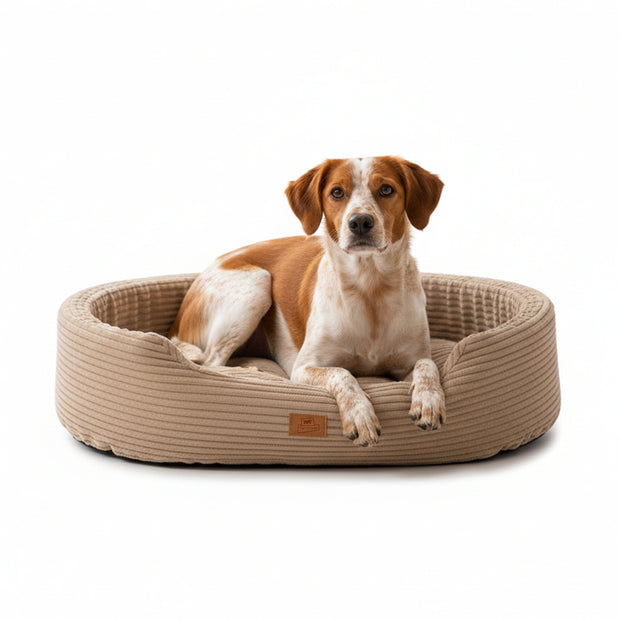 DANDY CORDUROY Cama tipo sofá con cojín extraíble para perros y gatos