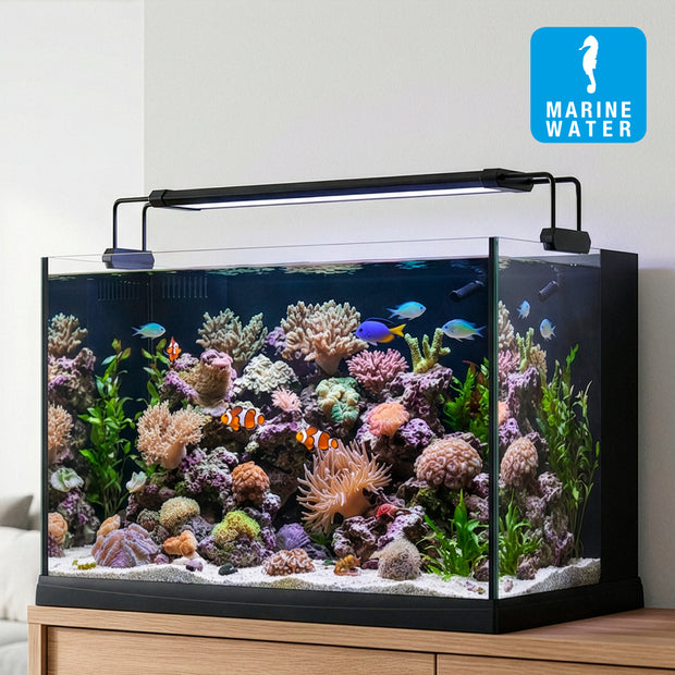 Lámpara AQ-LUX REEF