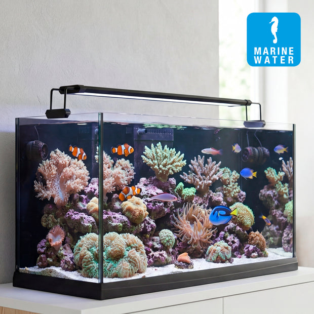 Lámpara AQ-LUX REEF