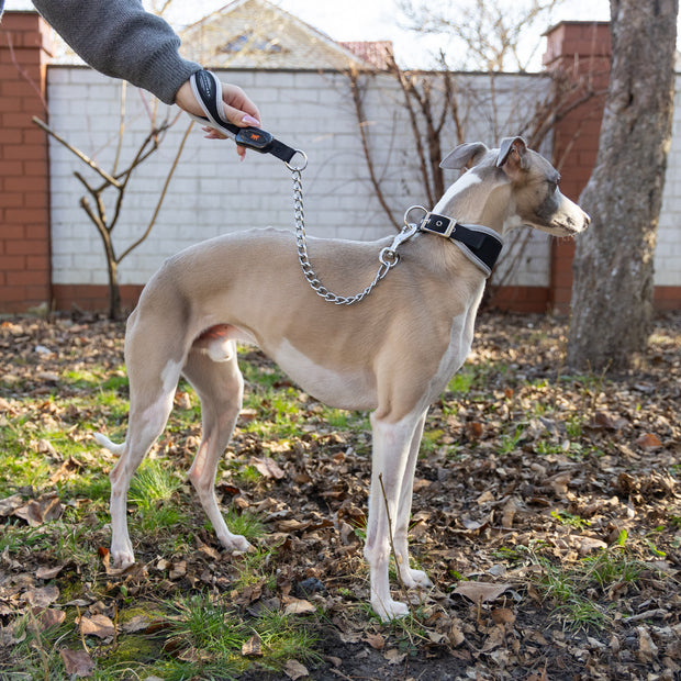 ERGOCOMFORT METAL GM