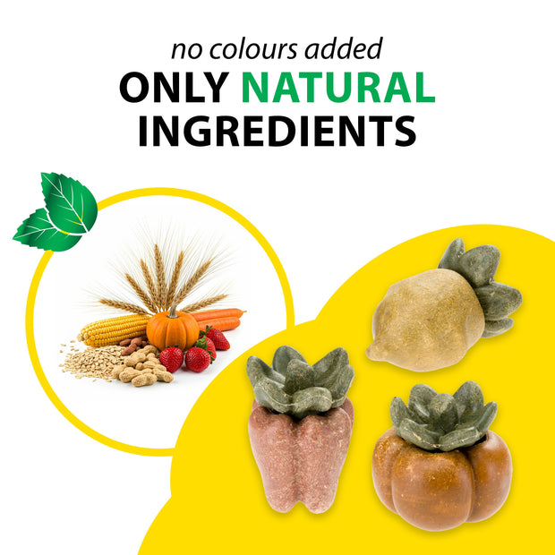 VEGGIE BITES VERDURAS