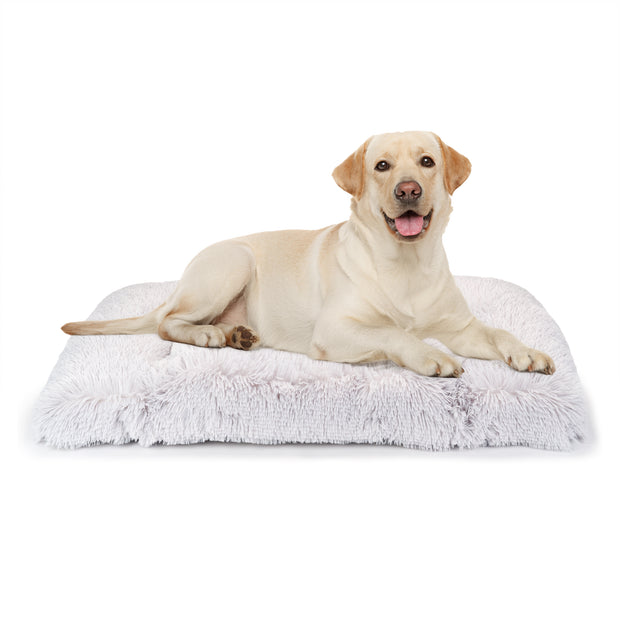SHANTI Cojín perros y gatos