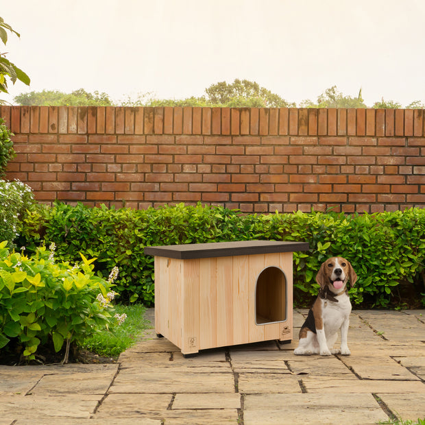CLICKO Caseta de madera para perros