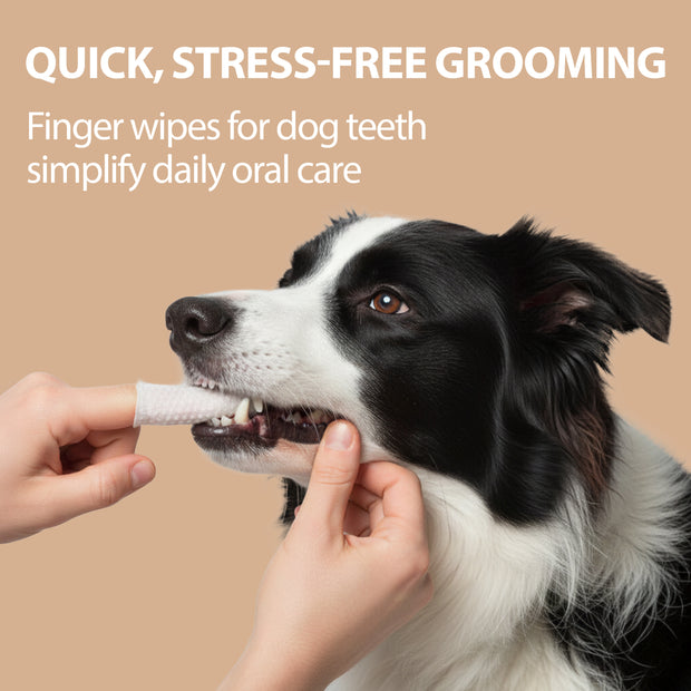 ALMOHADILLAS DENTALES DESECHABLES NATURÉ - PARA PERROS Y GATOS (x50)