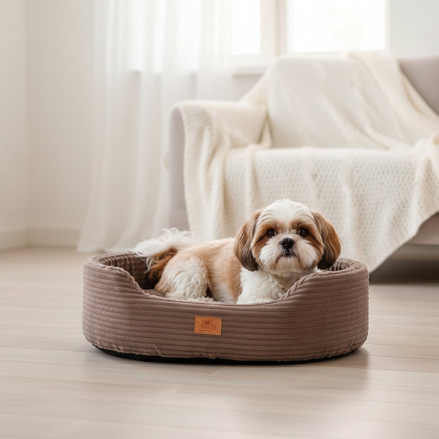 DANDY CORDUROY Cama tipo sofá con cojín extraíble para perros y gatos