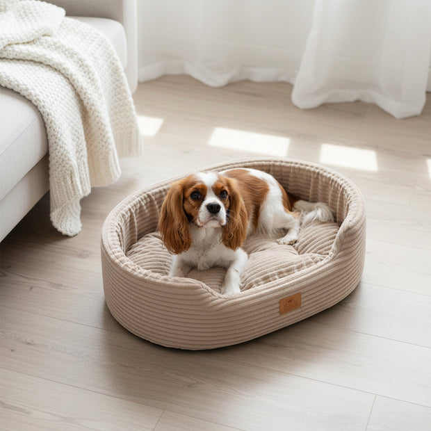 DANDY CORDUROY Cama tipo sofá con cojín extraíble para perros y gatos