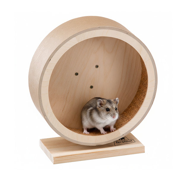 ARCADE WHEEL