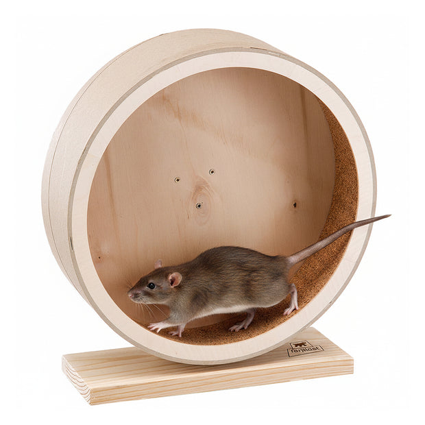 ARCADE WHEEL