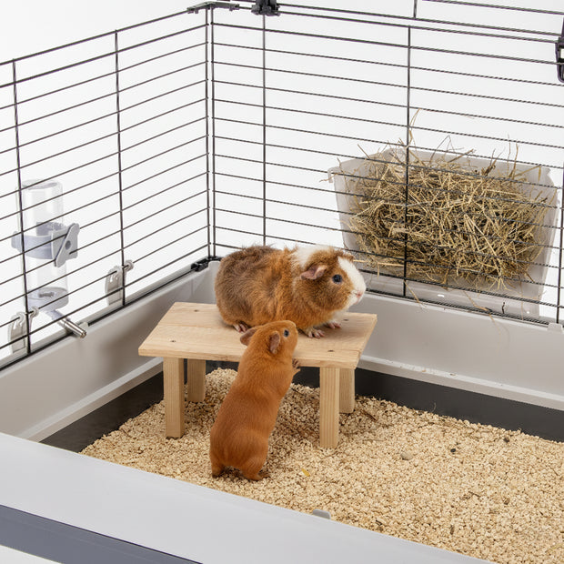 ARCADE TABLE Juguete de madera para pequeños animales