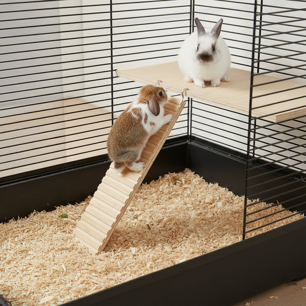 ARCADE LADDER Juguete de madera para hámsteres y pequeños animales