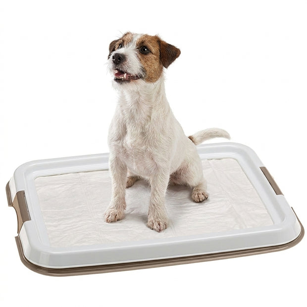 HYGIENIC PAD TRAY