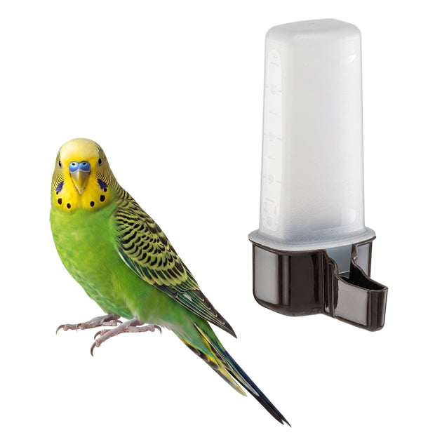 Dispensador de agua o alimento para aves