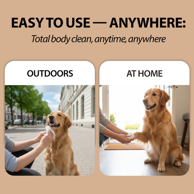 NATURÉ TOALLITAS CON TÉ VERDE (X40)